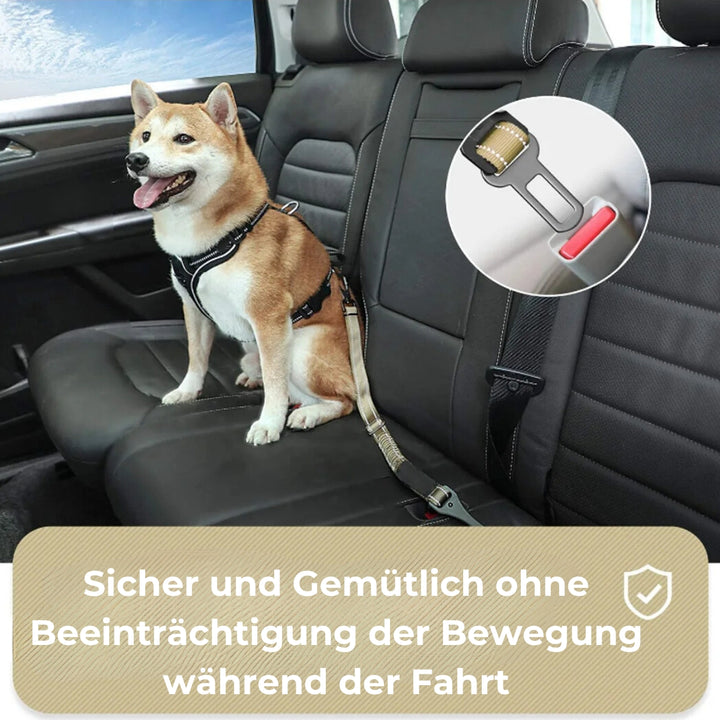 SafePaws-Drive - Hundeleine