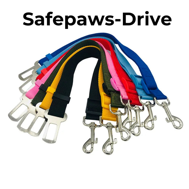 SafePaws-Drive - Hundeleine